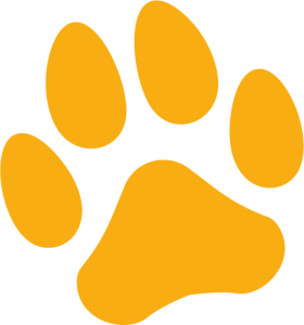 Favicon Logo nom-pour-chien.fr